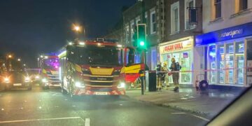 Cat critically unwell after family flee fire in Royal Wootton Bassett