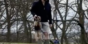 Council leader speaks out after he’s filmed ‘scruffing’ dog on walk