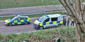 Woman ‘detained’ by police after mental health incident on A419