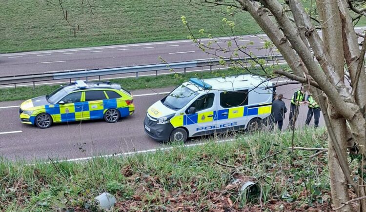 Woman ‘detained’ by police after mental health incident on A419