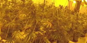 Man arrested after cannabis farm found in former Trowbridge bank