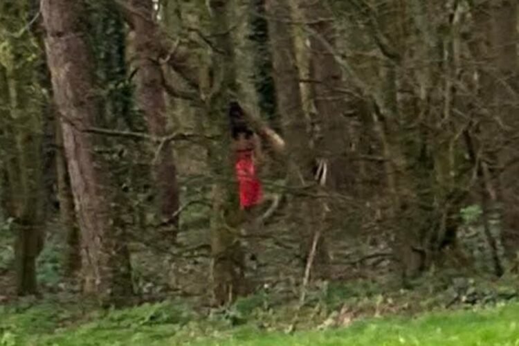 Man wearing red latex lingerie seen ‘touching himself’ in Swindon