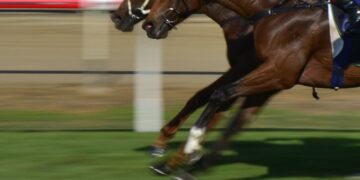 Second horse dies at Cheltenham Festival prompting boycott calls