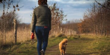Best places near Wiltshire to visit with your dog