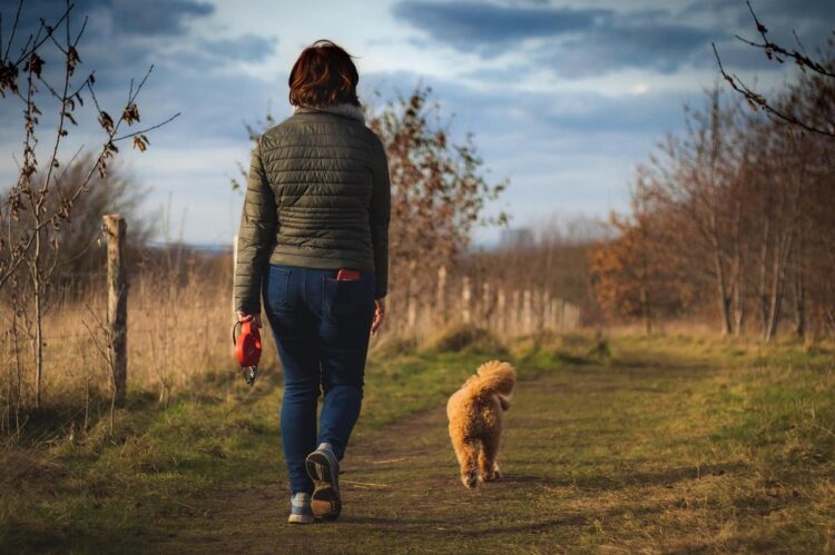 Best places near Wiltshire to visit with your dog