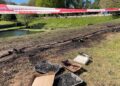 Fire at Swindon country park caused by people with ‘no brain cells’