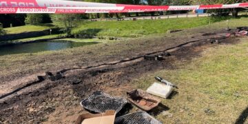 Fire at Swindon country park caused by people with ‘no brain cells’