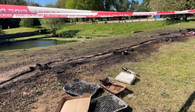 Fire at Swindon country park caused by people with ‘no brain cells’