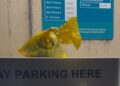 Suspected placenta left in biohazard bag outside Swindon hospital