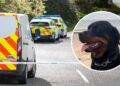 Police recover missing dog’s body after person killed on train tracks