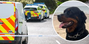 Police recover missing dog’s body after person killed on train tracks