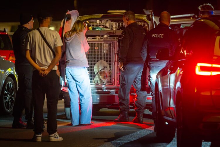 Two dogs seized after teenage boy mauled in attack near Devizes
