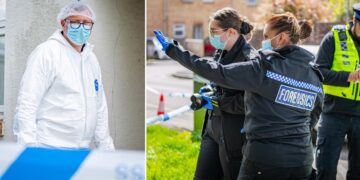 Forensics examine bloody crime scenes after attack in Swindon