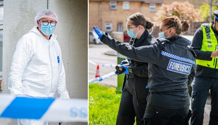 Forensics examine bloody crime scenes after attack in Swindon