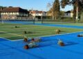 Police serve appeal after plants trashed at Calne tennis court