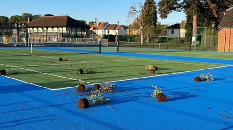 Police serve appeal after plants trashed at Calne tennis court
