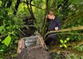 Councillors take action after three dogs die at Swindon beauty spot
