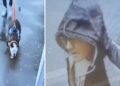 Police launch hunt for man and dog after person bitten at Co-op