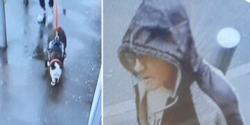 Police launch hunt for man and dog after person bitten at Co-op