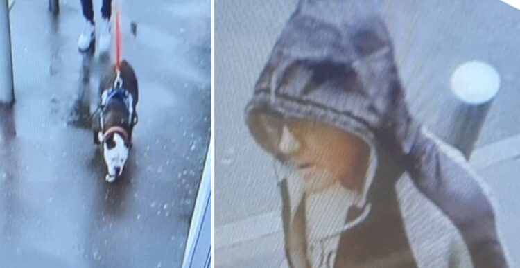 Police launch hunt for man and dog after person bitten at Co-op