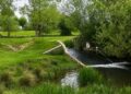 Extra police patrols after youths seen swimming in ‘dangerous’ weir