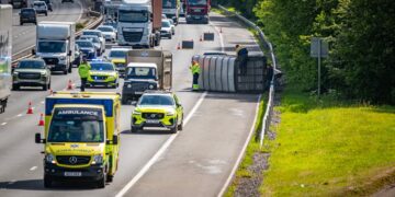 Cattle miraculously survive after trailer overturns in M4 crash