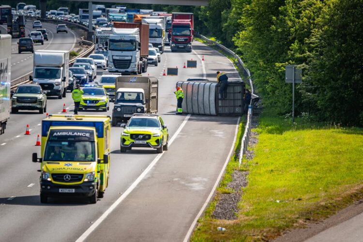 Cattle miraculously survive after trailer overturns in M4 crash