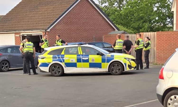 Man arrested after assaults amid ‘domestic incident’ in Westbury