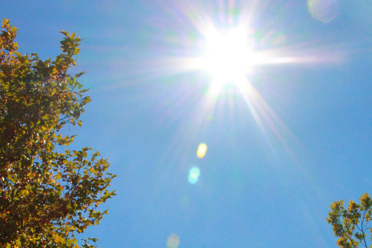 Health alert in force across Wiltshire amid ‘dangerous’ heatwave