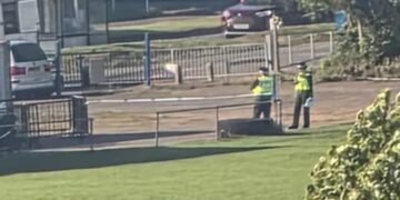 Swindon Rugby Club issues statement after stabbing on field