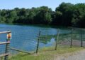 Fonthill Bishop lake