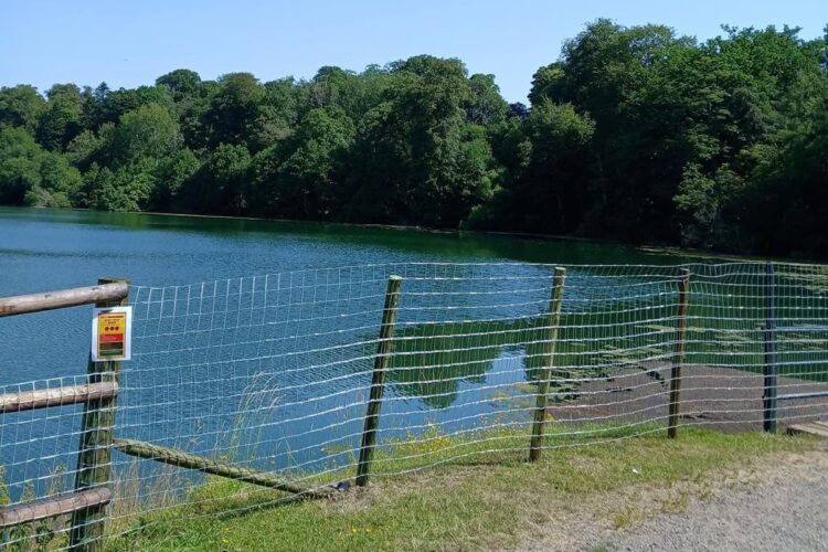 Fonthill Bishop lake