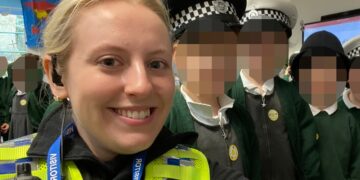 Wiltshire police officer on domestic abuse team ‘pretended to work’