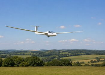 Glider crashes into power lines – woman left with significant injuries