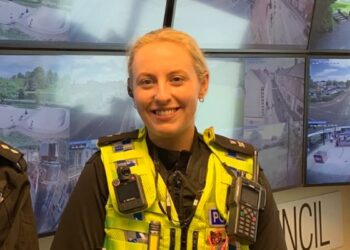 Former Wiltshire police officer allegedly pretended to be working