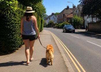 Fury as people seen walking dogs in Wiltshire amid 32°C heatwave
