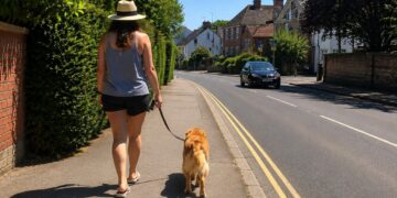 Fury as people seen walking dogs in Wiltshire amid 32°C heatwave