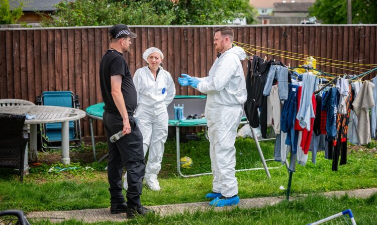 More arrests and another home searched after Swindon shooting