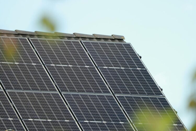 What Sussex Homeowners Must Know Before Going Solar