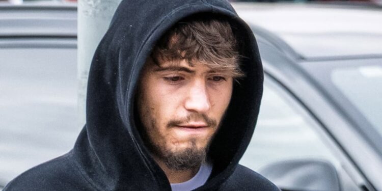 Puppy killer spared community service over declining mental health