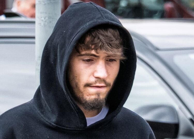 Puppy killer spared community service over declining mental health