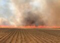 Wiltshire farmers urged to take extra care over harvest fire risk