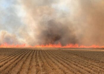 Wiltshire farmers urged to take extra care over harvest fire risk