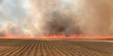 Wiltshire farmers urged to take extra care over harvest fire risk