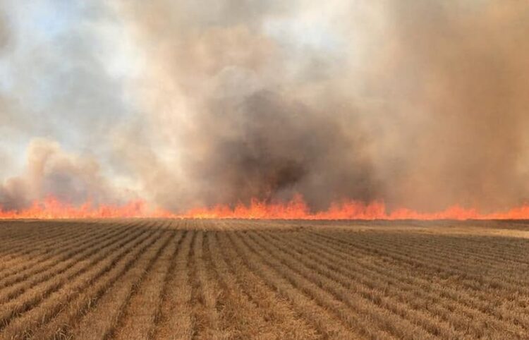 Wiltshire farmers urged to take extra care over harvest fire risk