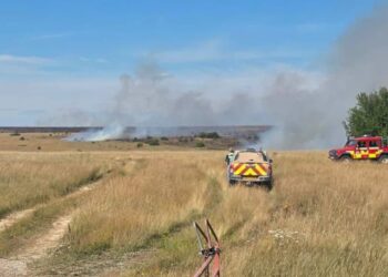 Six fire crews tackle Salisbury Plain blaze after spreading to farmland