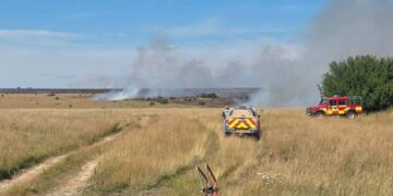 Six fire crews tackle Salisbury Plain blaze after spreading to farmland