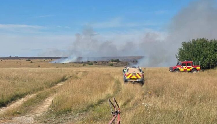 Six fire crews tackle Salisbury Plain blaze after spreading to farmland