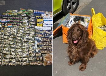 Police seize illicit tobacco and machete after raiding Swindon shop