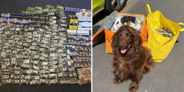 Police seize illicit tobacco and machete after raiding Swindon shop